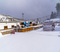 11 11 20 first snow_15.JPG