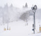 11 11 20 first snow_72.JPG