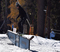 DSC_0764.JPG