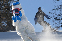 yeti-todd.jpg
