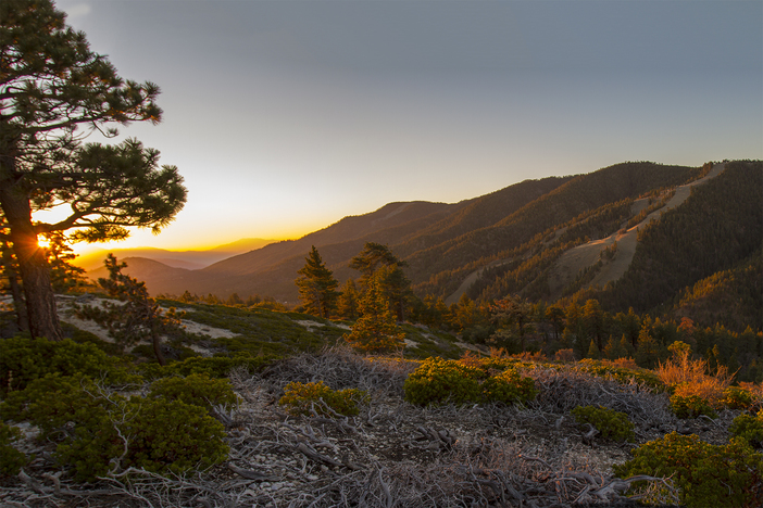 Looking towards Wrightwood.