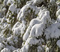 20190113_MHW_Sunny Fresh Snow_Karen Nadalin_Mike Jennings_Canon 7D_0209.JPG