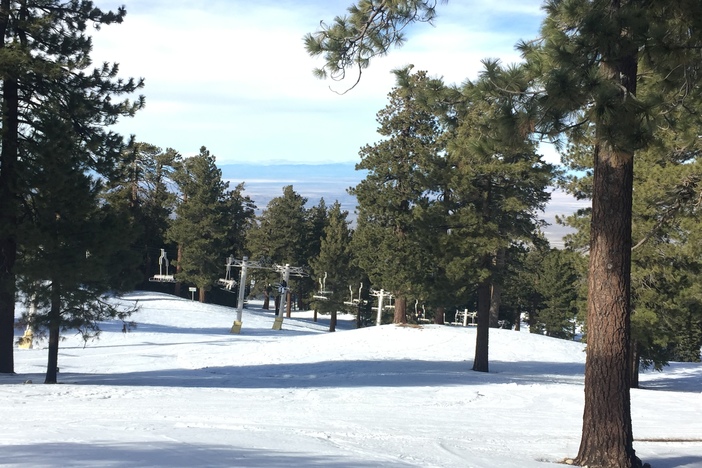 Don't miss out on wide open tree runs and hardly any crowds at the North Resort!