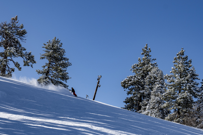 20191224 Snowy trees blue sky foot fresh snow_0322.jpg