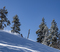 20191224 Snowy trees blue sky foot fresh snow_0322.jpg