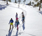 2020 MH East drone snowshoeing 2.jpg