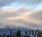 20181210_Sunrise San Gabriel Mountains Birds flying_0011.jpg