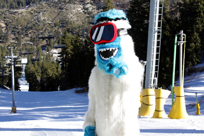 The Yeti is ready for Conquest... Are YOU?!