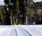 New trails and fresh cords! Lay some fresh tracks on Conquest!