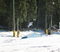 @khuniekos gap to tail slap over the pyramid box.