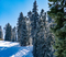 20191209 MHW Frosting on trees blue sky_dn PHOTOS0161.jpg