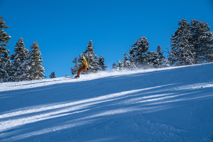 20191224 Snowy trees blue sky foot fresh snow_0475.jpg