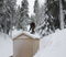 Roof dropping the hut inside the gulch.