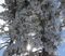 Dusting received overnight. 