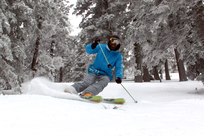 Carving up the tree lines.