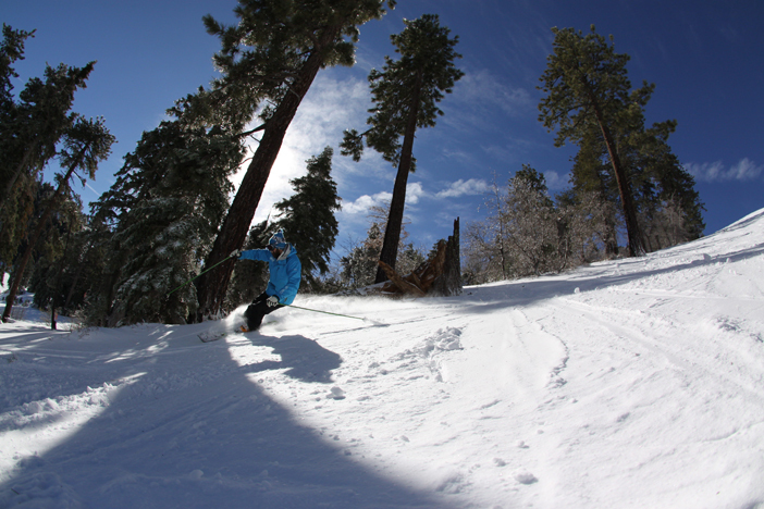 Finding freshies on Wildfire.