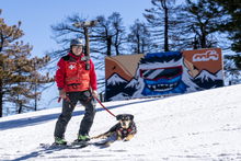 20250226 MHW Trevor Snow Patrol DOG_00001 Trevor Webby Wall Ride.jpg