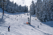 20191224 Snowy trees blue sky foot fresh snow_0483.jpg