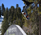 DSC_0219.JPG