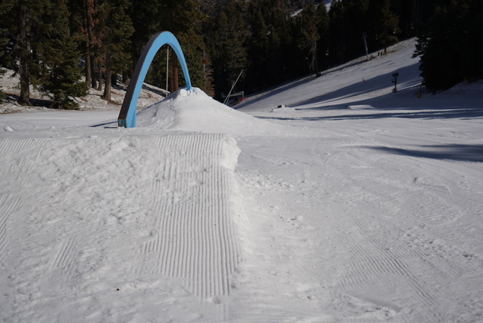 Giant Rainbow Rail is out!