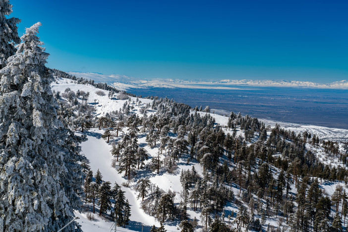 20230226 MHW closed 6 feet of powder Base Area SKIING_216 copy-2.jpg