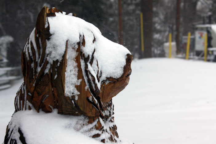 Bear-ied with fresh snow.