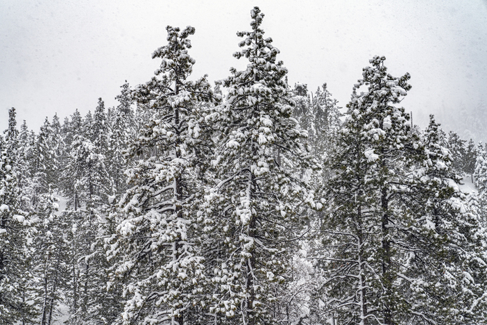 20200410 Good Friday Snowstorm COVID19 15_138 Wrightwood MH___116.jpg