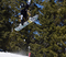DSC_2467.JPG