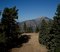 View of Mt. Baden Powell from the top of our East Resort.