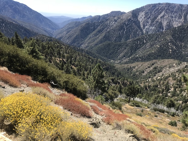 Looking Down The San Gabriel River