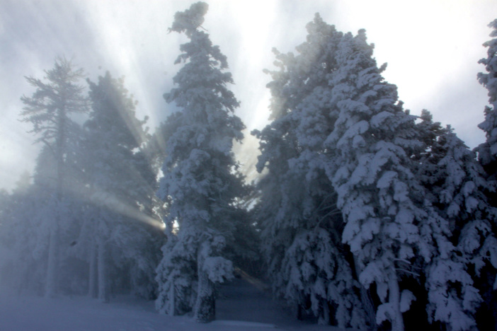 It's a Winter Wonderland down Wyatt.