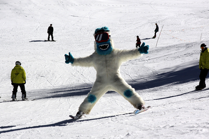 the yeti was spotted catching some top to bottom laps today!