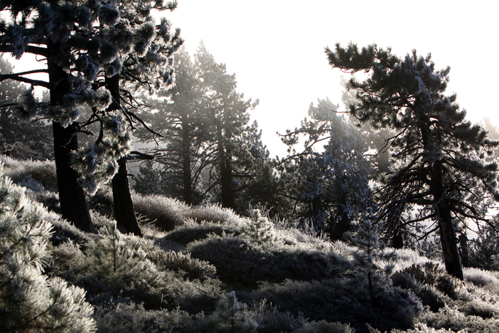 Crisp and clear on the mountain.