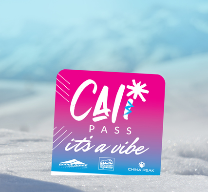 ticket-in-snow-cali-pass 