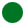 Green Circle.  Need to work on turns on beginner runs.
