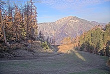 2025-05-01_14-15-06