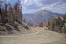 2025-05-01_19-59-10