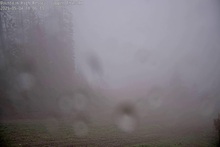 2025-05-05_01-08-04