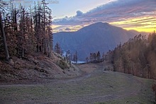 2025-05-06_03-02-31