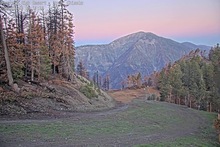 2025-05-06_12-52-32
