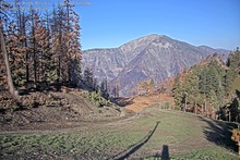 2025-05-06_14-44-45