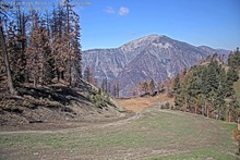 2025-05-06_17-10-41