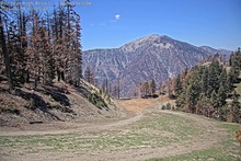 2025-05-08_19-24-12