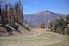 2025-05-08_19-56-53