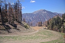 2025-05-08_20-13-28