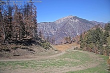 2025-05-10_16-45-32