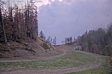 2025-05-15_03-04-58