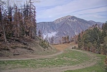 2025-05-17_17-11-09