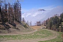 2025-05-17_20-08-12