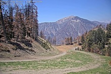 2025-05-18_19-08-23